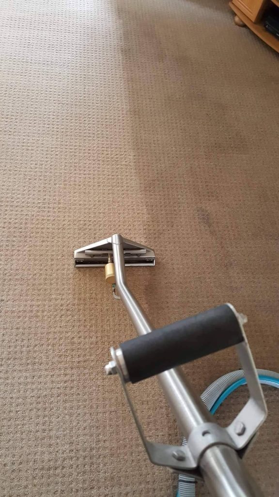 Carpet cleaning in walsall