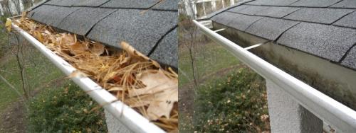 Gutter Cleaning